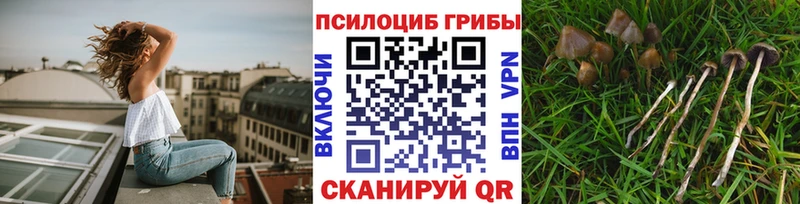 Псилоцибиновые грибы ЛСД  Кимры 